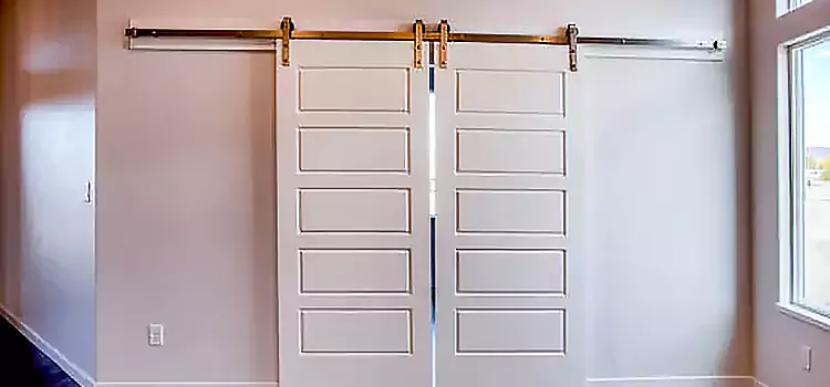 Glass Barn Door with Installation Hardware Kit Mount Vernon